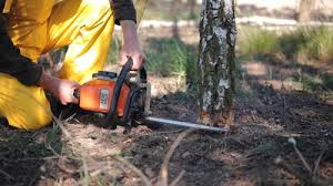 Mulching Services in Fort Bragg, CA